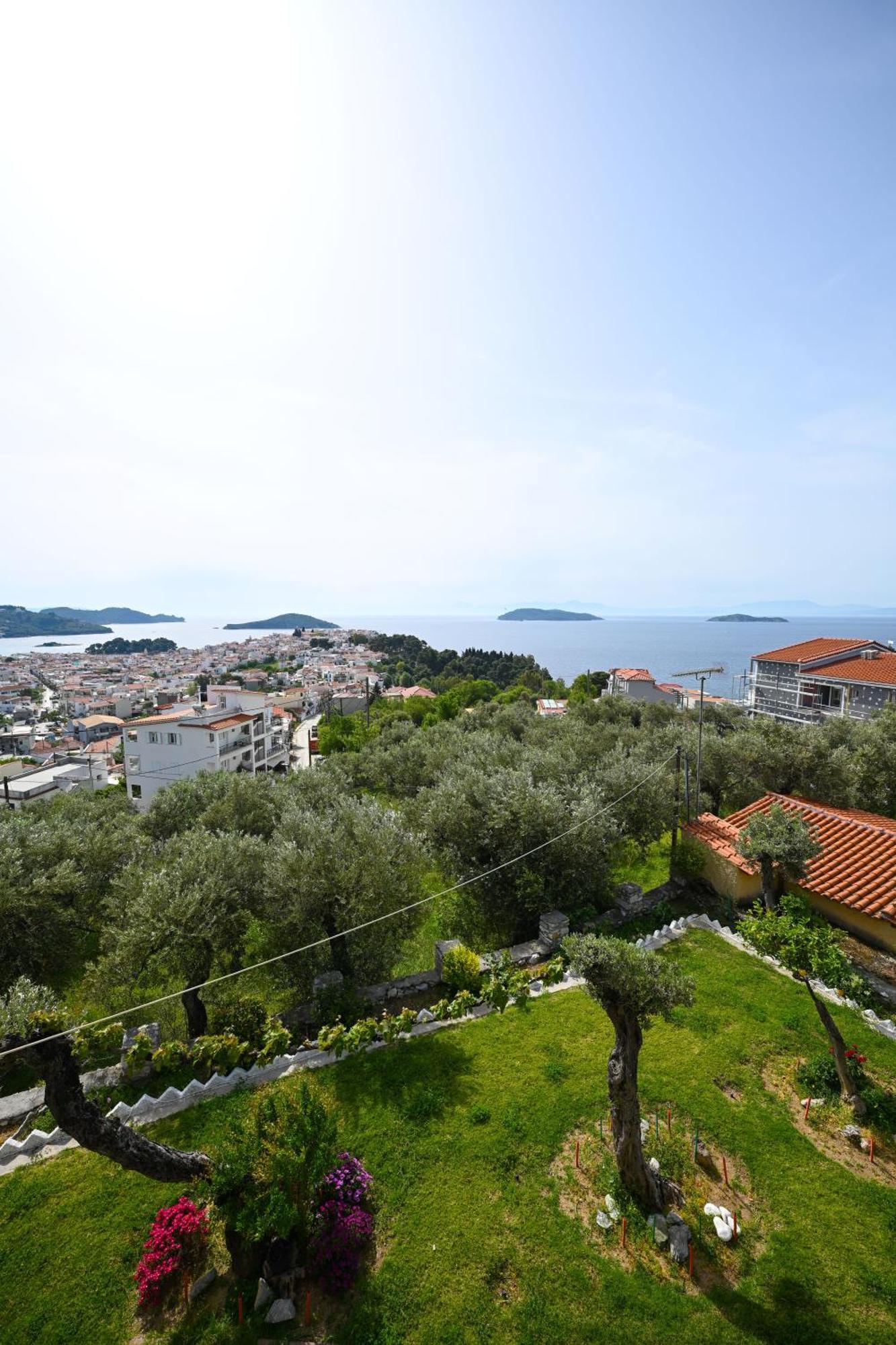 Makis Sea View Studios Skiathos-Stadt Exterior foto
